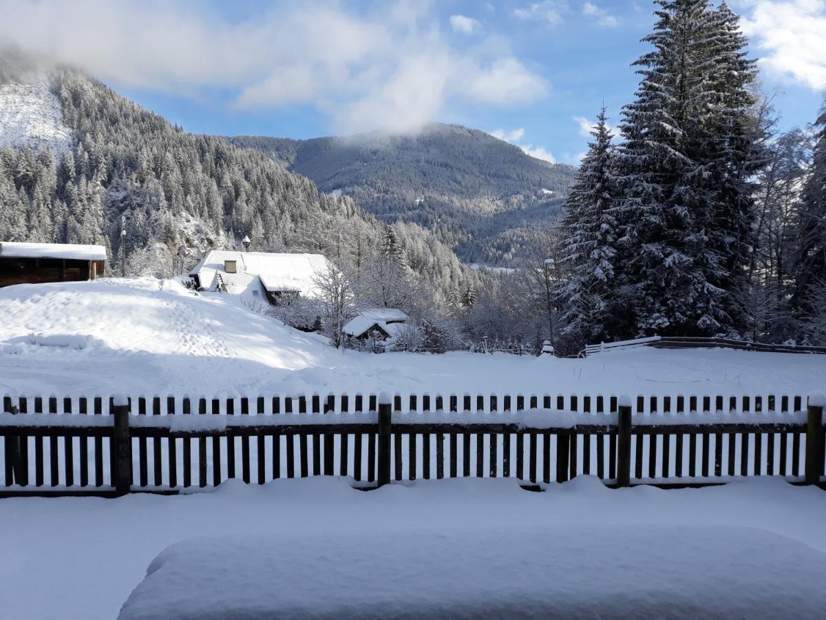 Umundumhuette Villa Katsch an der Mur Kültér fotó