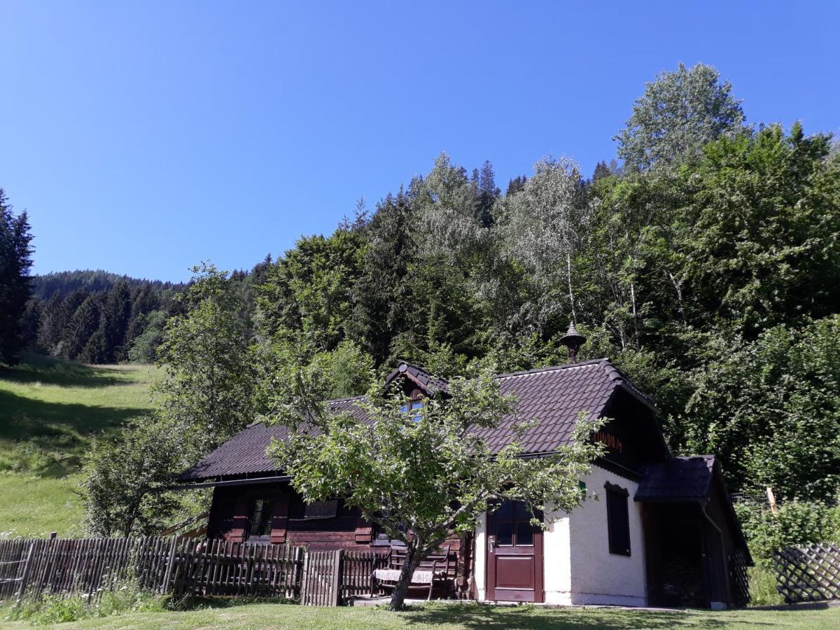 Umundumhuette Villa Katsch an der Mur Kültér fotó
