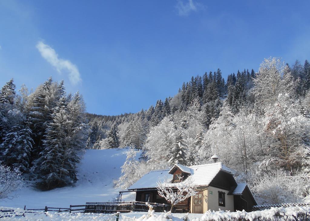 Umundumhuette Villa Katsch an der Mur Kültér fotó