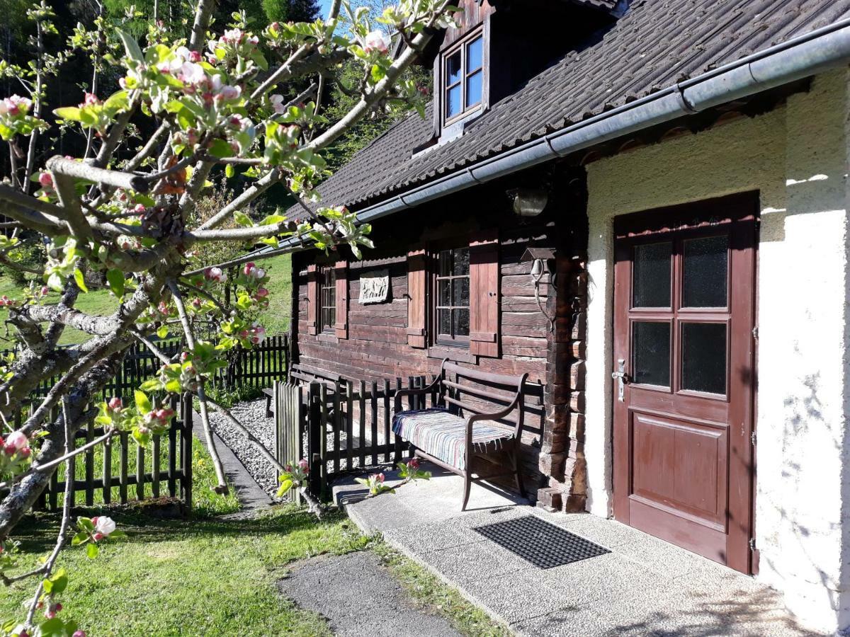 Umundumhuette Villa Katsch an der Mur Kültér fotó
