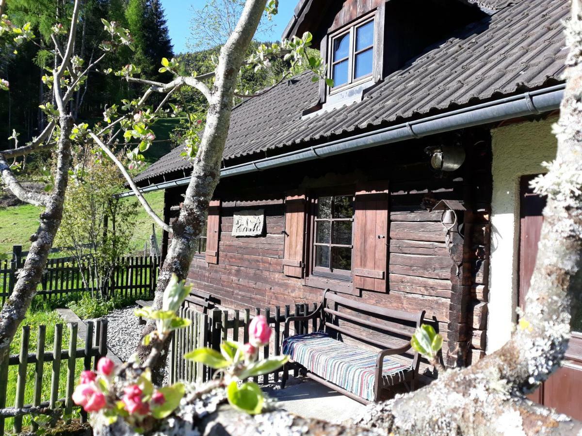 Umundumhuette Villa Katsch an der Mur Kültér fotó
